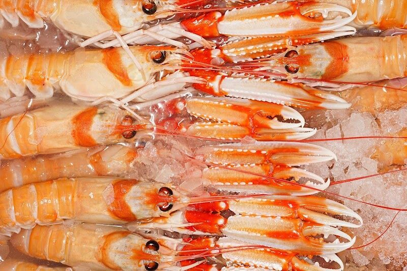 Imagen de Pescados y Mariscos Francisco Vázquez E Hijos S.l.