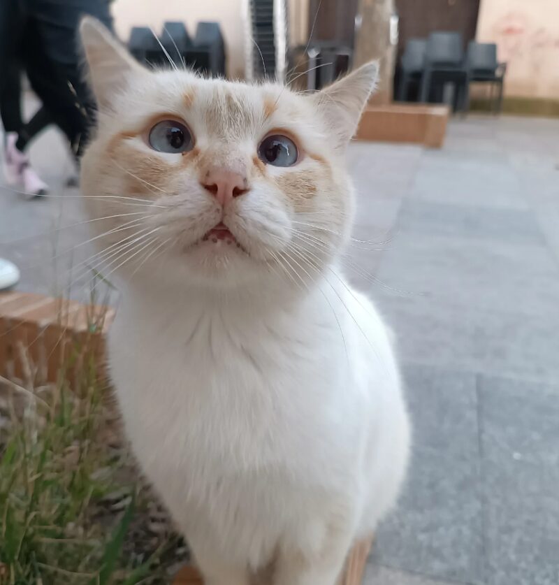 Imagen representativa de la localización