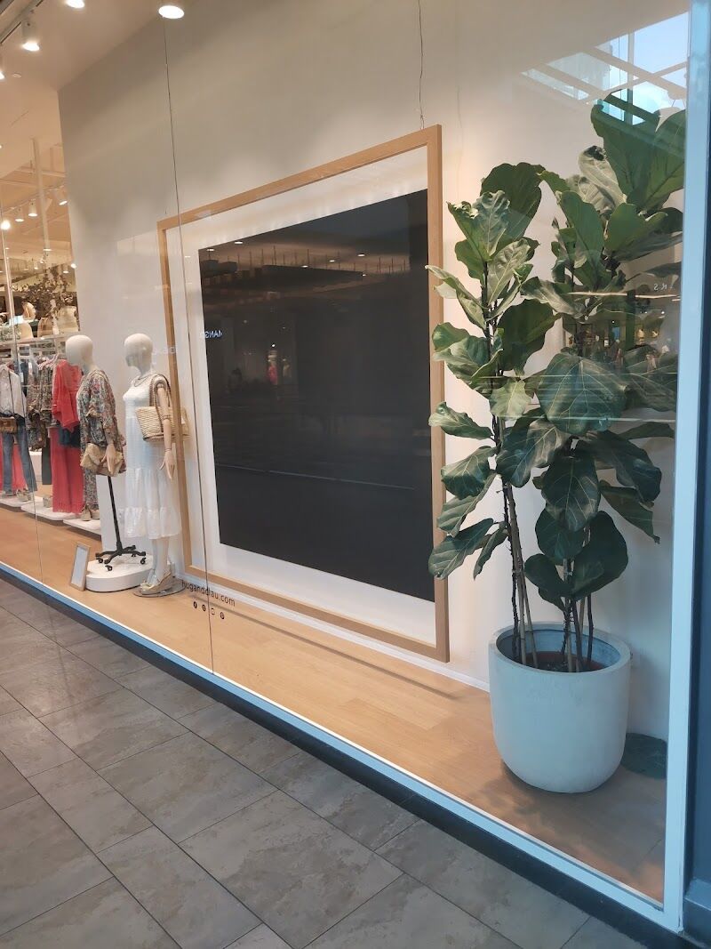 Imagen de Hug & Clau Luz del Tajo