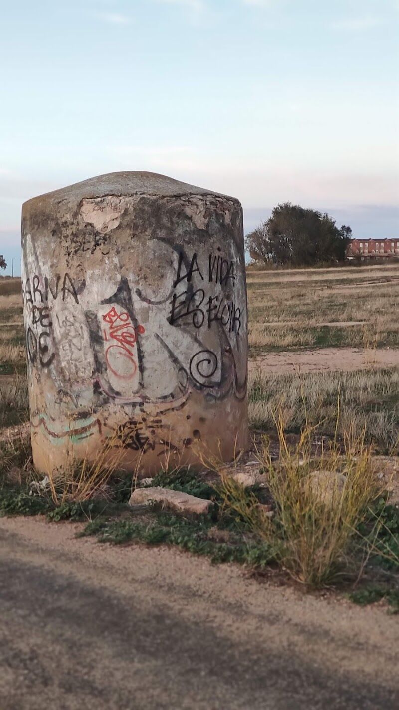 Imagen de Glamping Viña Rock