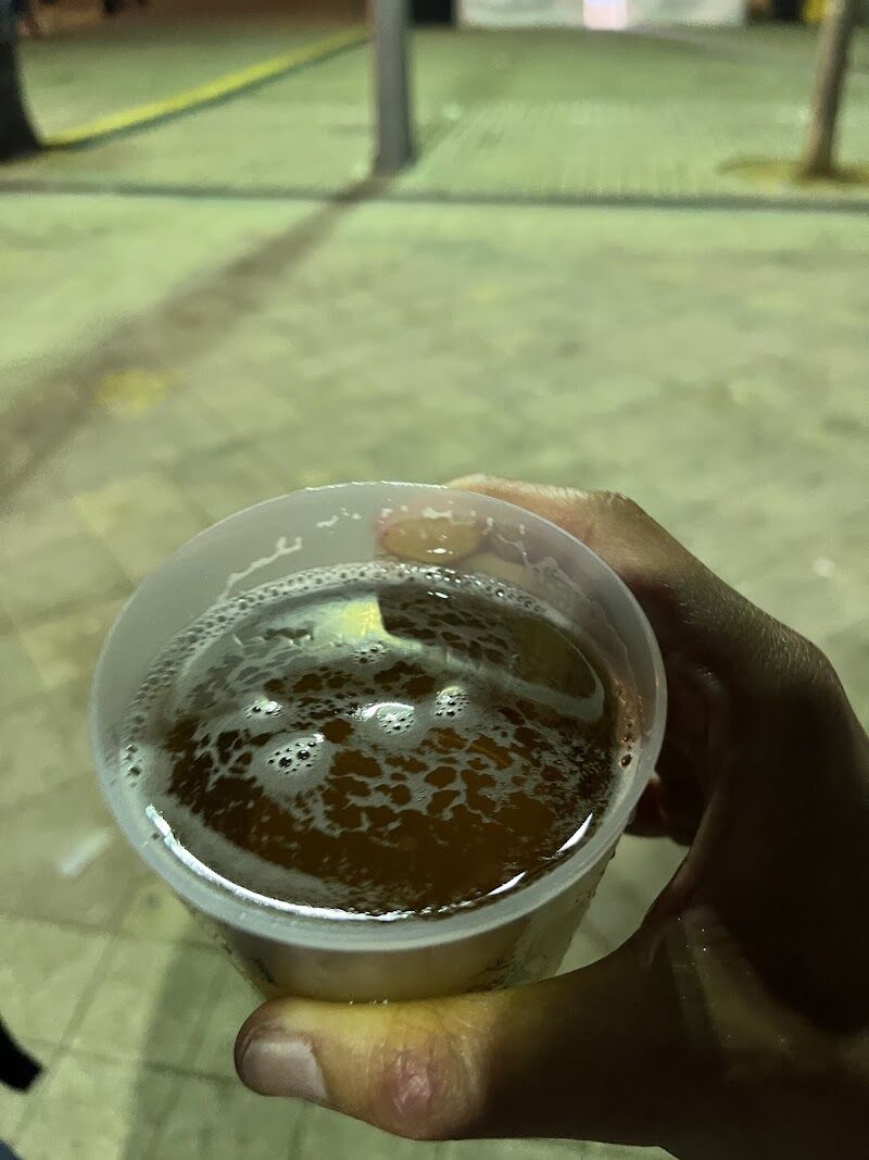 Imagen de Glamping Viña Rock