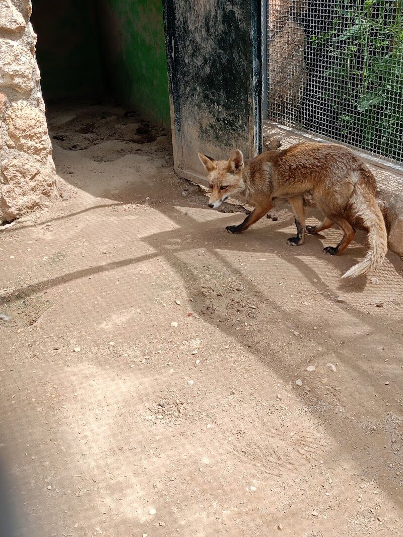 Imagen de Zoo de Lillo