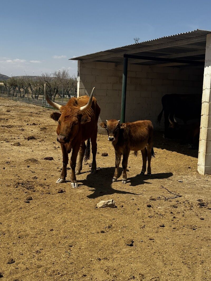 Imagen de Zoo de Lillo