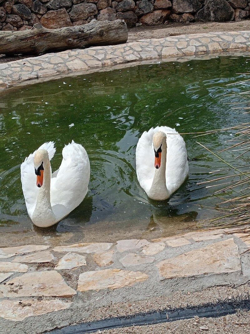 Imagen de Zoo de Lillo
