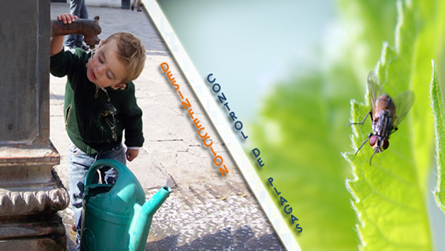 Imagen de Higia Ciudad Real