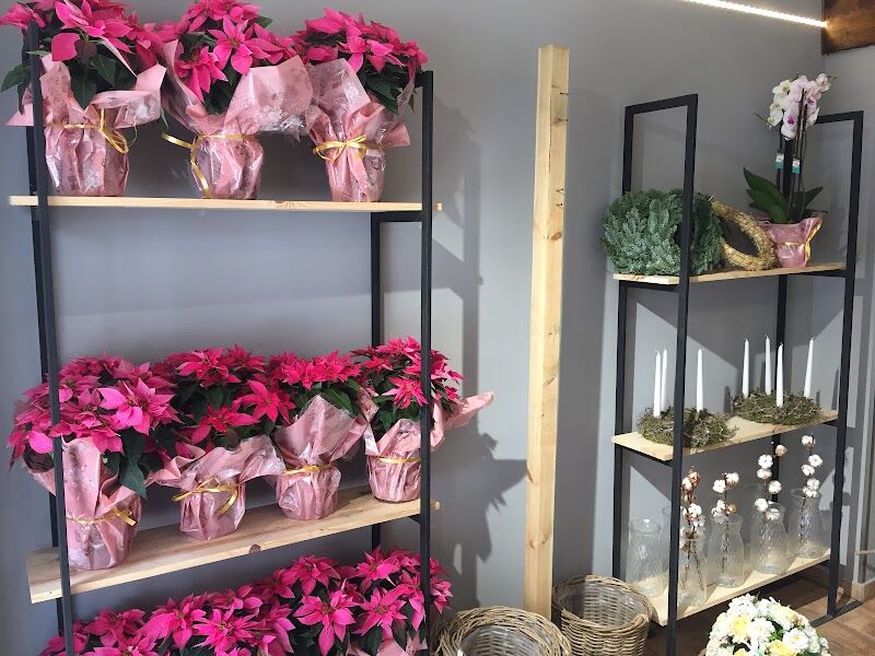 Imagen de negocio en Floristería en Villafranca de los Caballeros