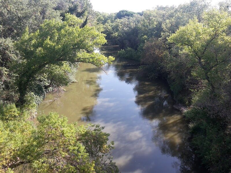Imagen de Puente de Hierro (antigua Vía Ferroviaria Ariza)