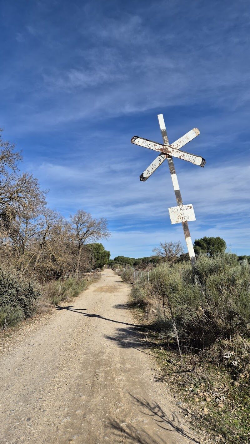 Imagen de Puente de Hierro (antigua Vía Ferroviaria Ariza)