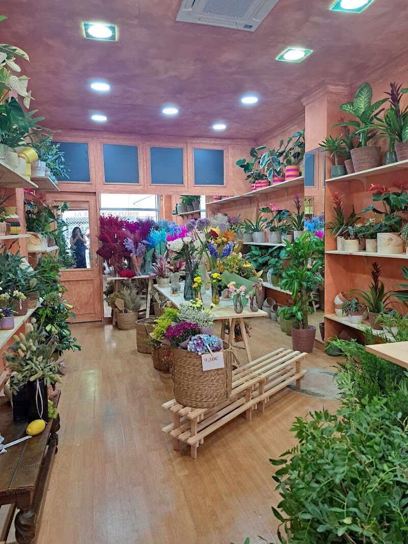 Imagen de negocio en Floristería en Valladolid