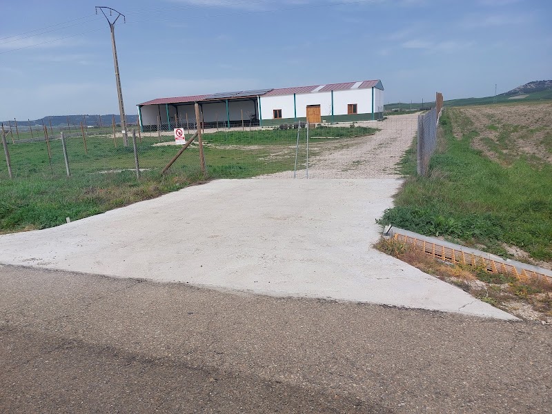 Imagen de Lobocan Adiestramiento Canino