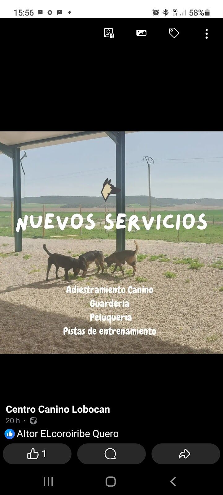 Imagen de Lobocan Adiestramiento Canino