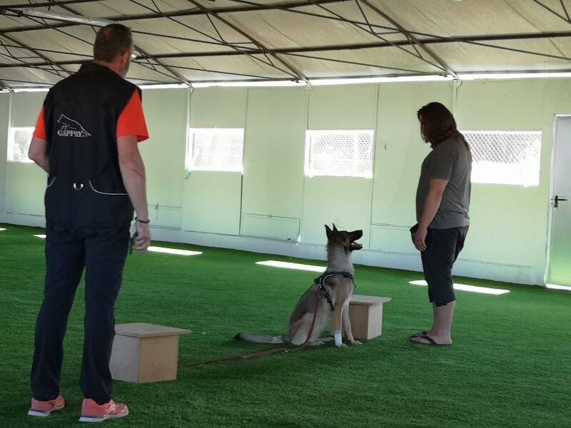 Imagen de negocio en Adiestramiento de mascotas en Provincia de Valladolid