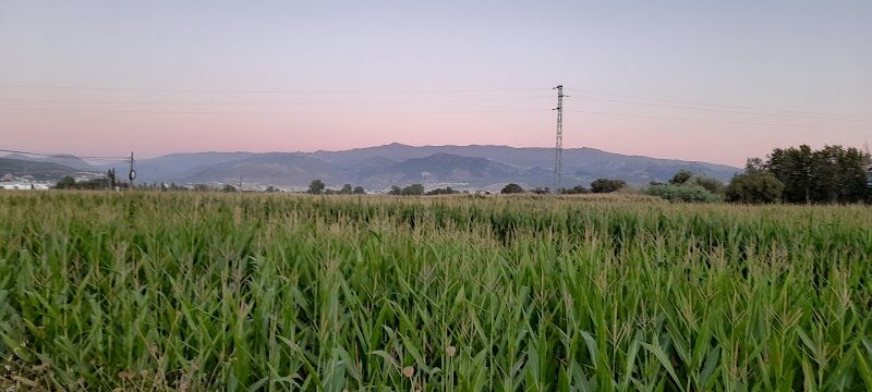 Imagen representativa de la localización