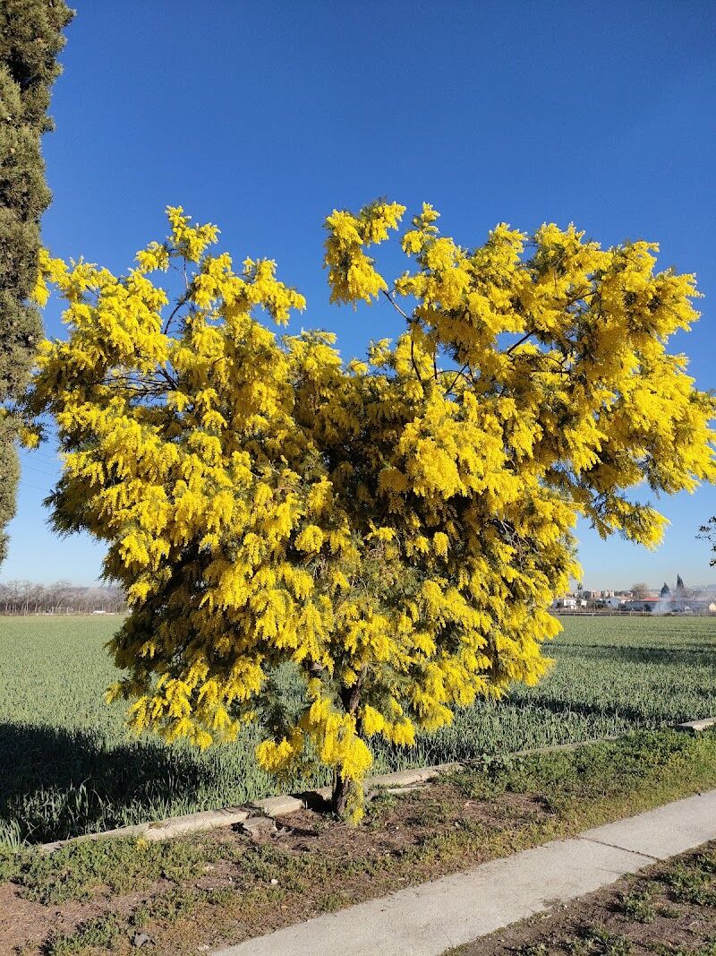 Imagen representativa de la localización