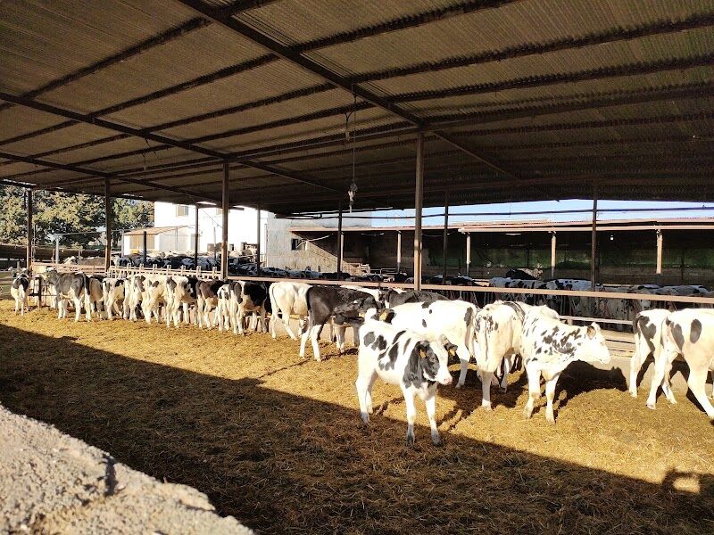 Imagen representativa de la localización