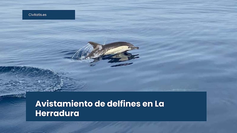 Imagen representativa de la localización