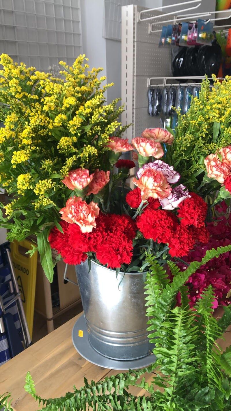 Imagen de Lienzo Blanco Shop (al-andalus)