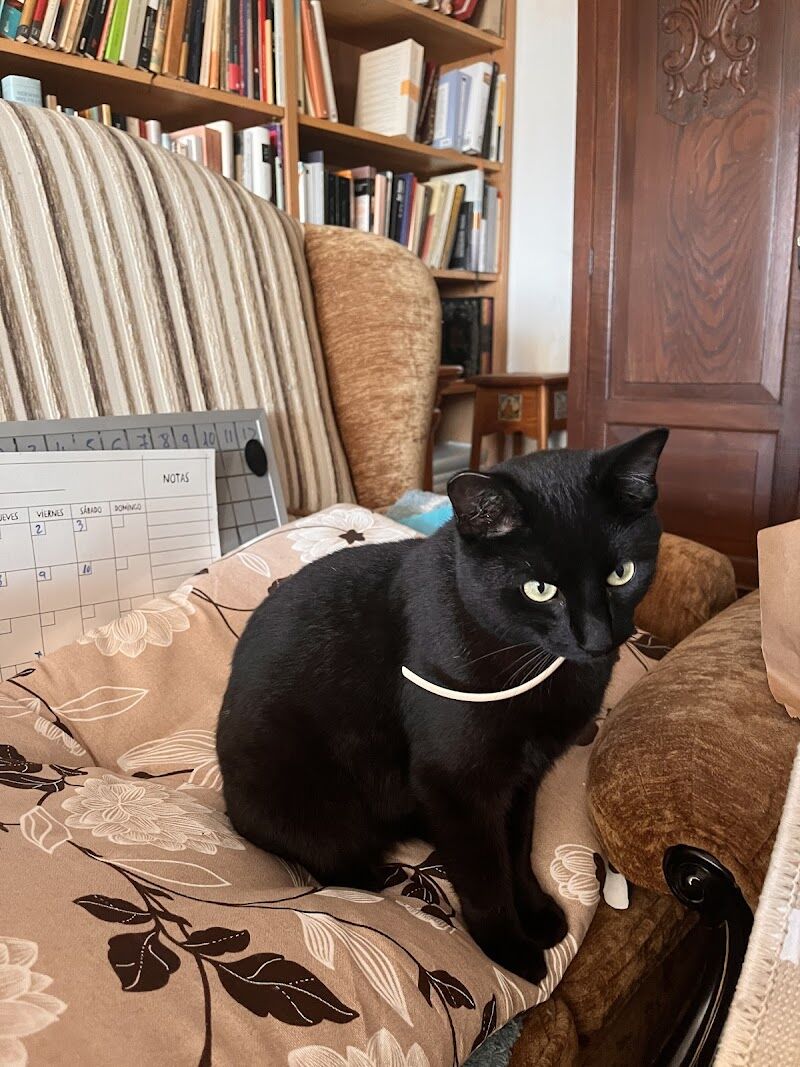 Imagen de Centro Veterinario Artemisa