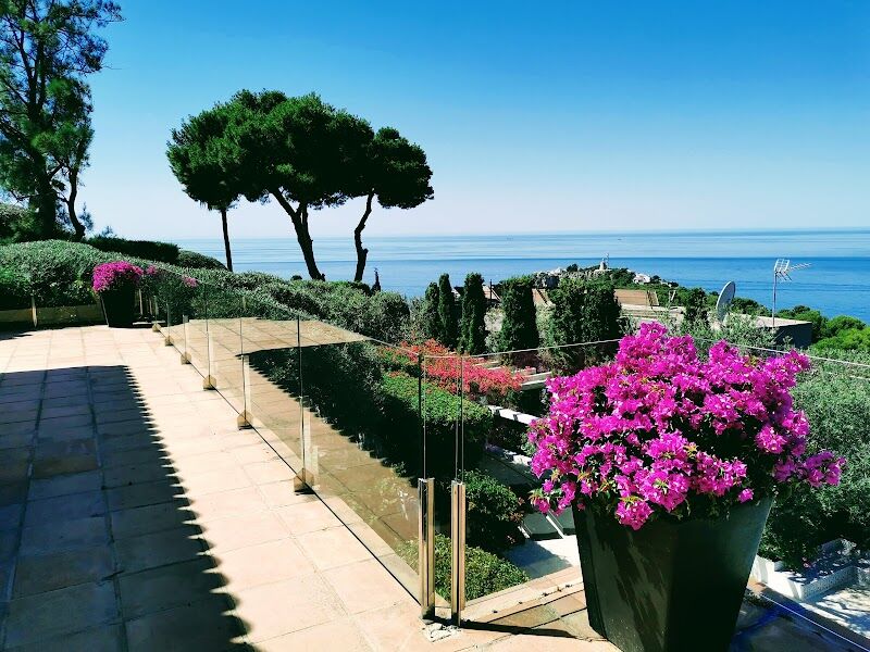 Imagen de Jardinería Olivares