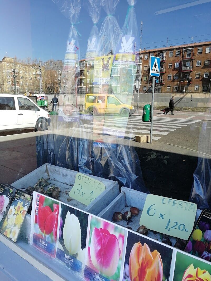 Imagen de negocio en Paisajismo en Castilla y León