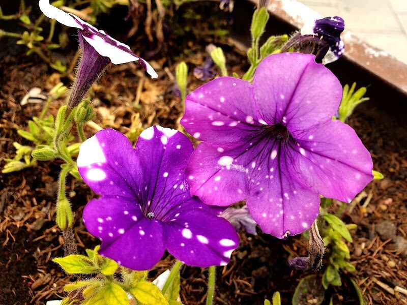 Imagen representativa de la localización