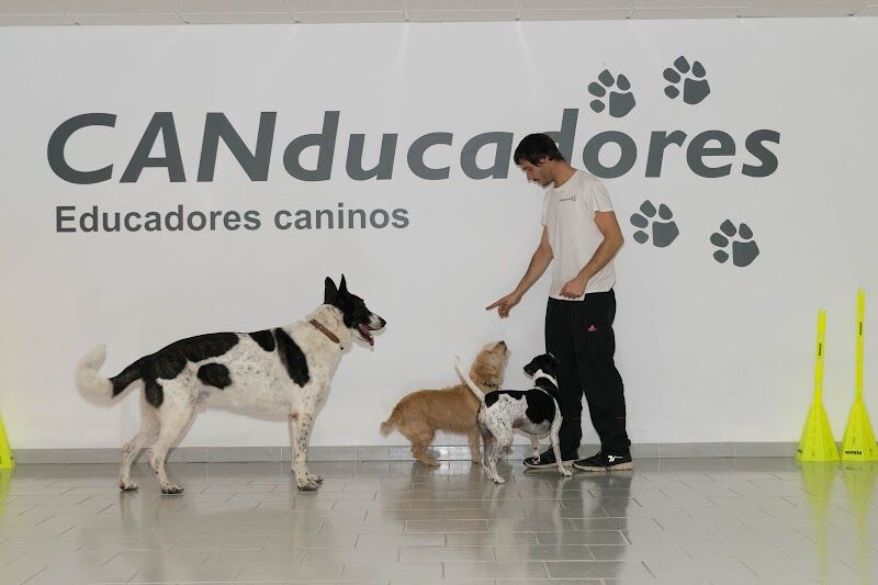 Imagen de negocio en Educación y Comportamiento en Provincia de Málaga