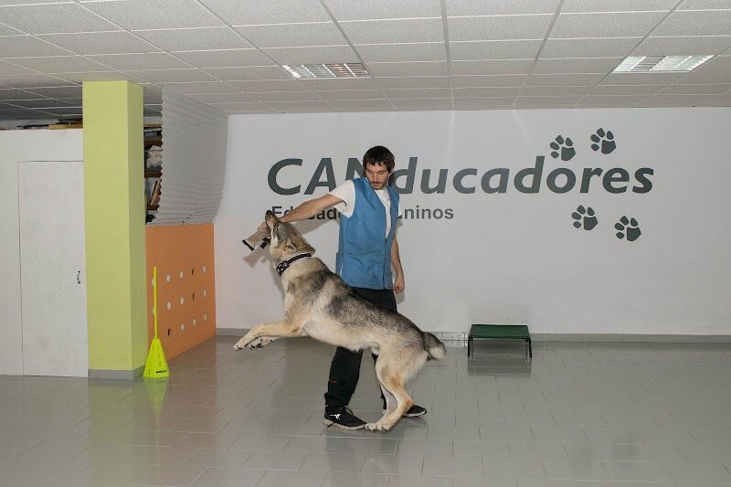 Imagen de negocio en Adiestramiento de mascotas en Provincia de Málaga