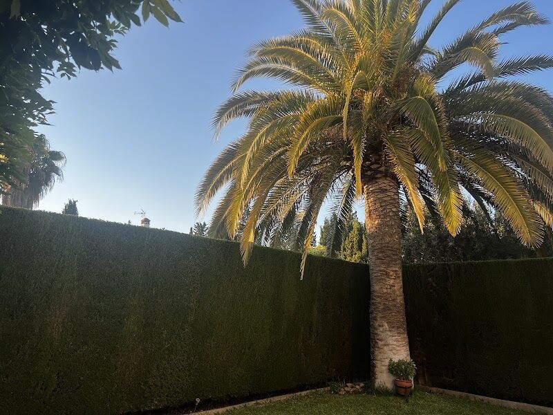 Imagen de negocio en Jardinería y exterior en Otura