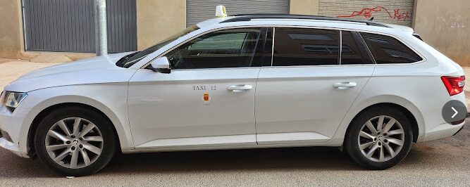 Imagen de Taxi Guadix 12