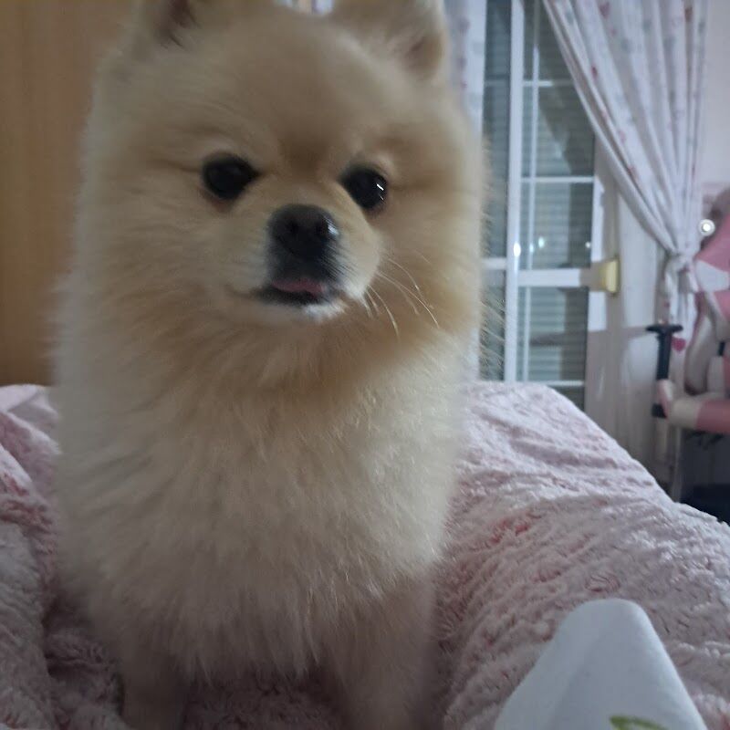 Imagen de Clínica Veterinaria Nerja