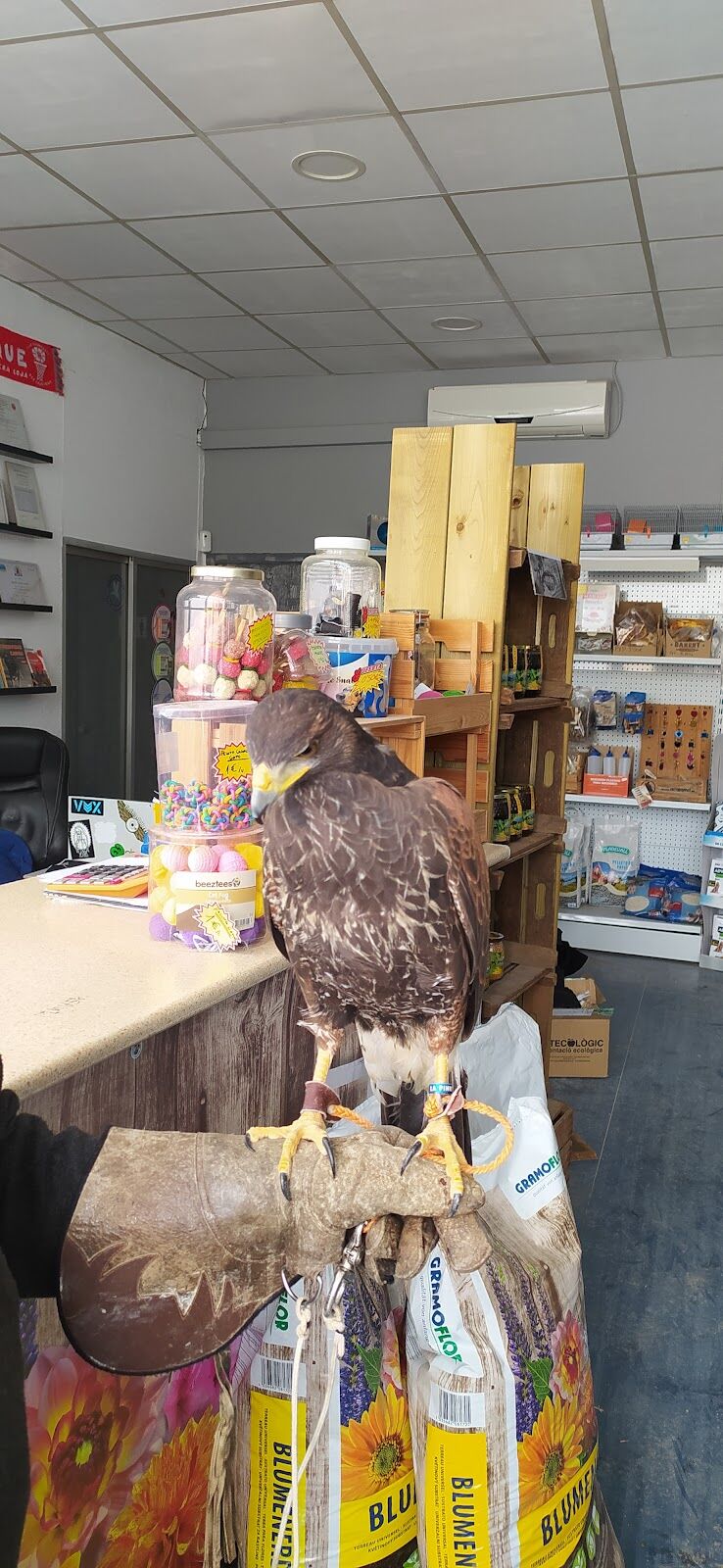 Imagen de negocio en Adiestramiento de mascotas en La Villa de Don Fadrique