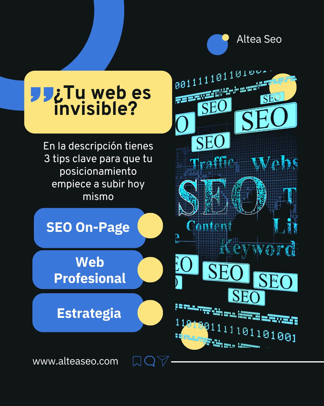 SEO WEB