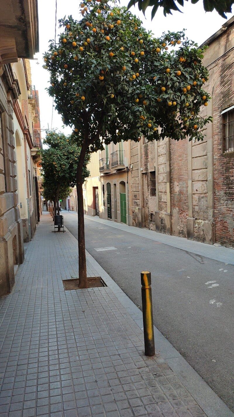 Imagen representativa de la localización