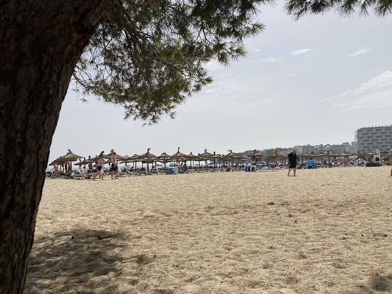 Imagen representativa de la localización