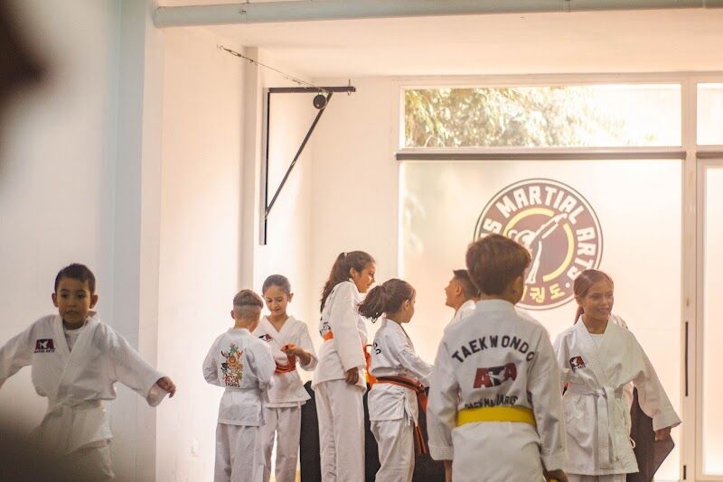 Imagen de Oasis Martial Arts – Artes Marciales para Toda la Familia en Palma –