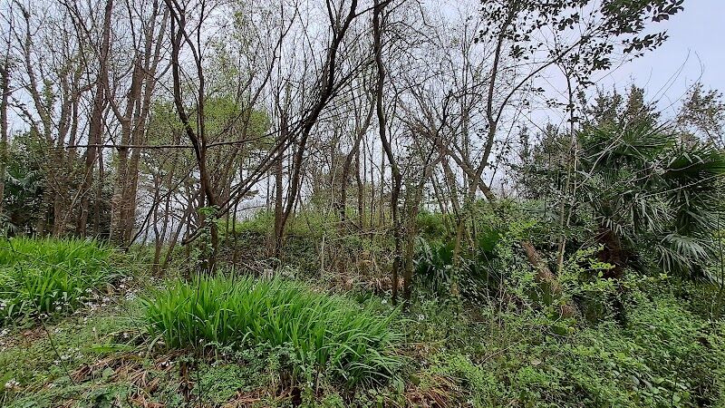 Imagen representativa de la localización