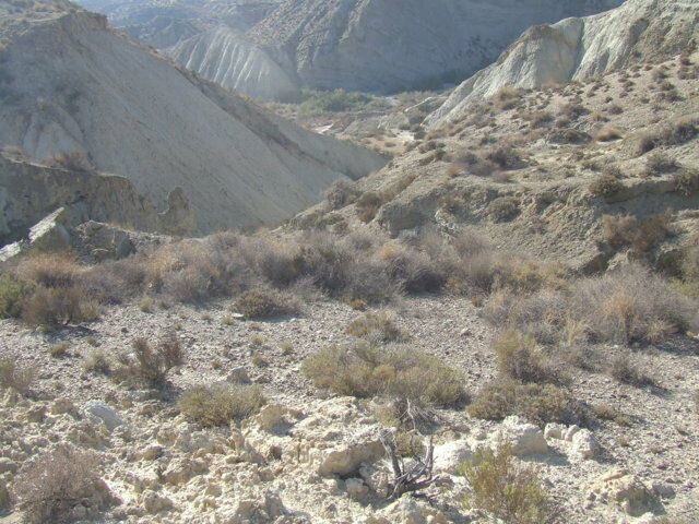 Imagen representativa de la localización