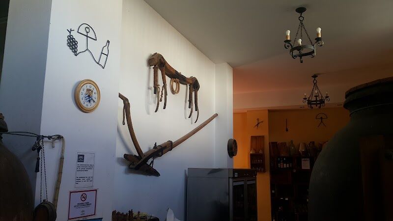 Imagen de Bodega Olallo