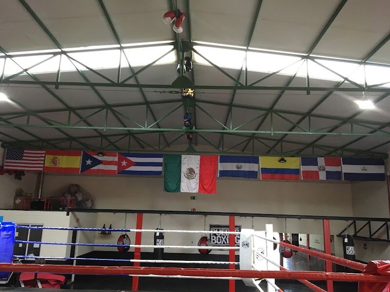 Imagen de negocio en Boxeo y kickboxing en Leon