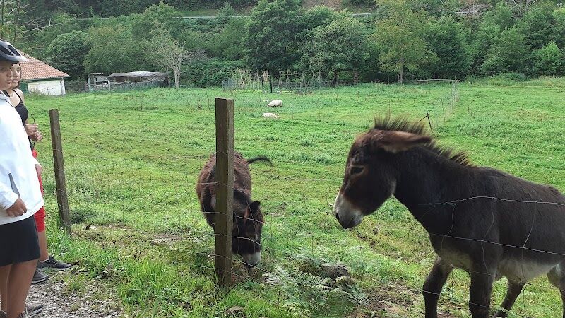 Imagen representativa de la localización