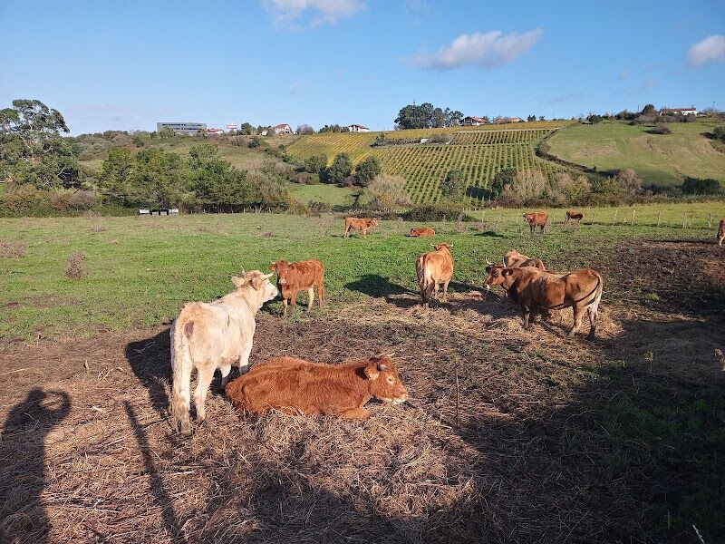 Imagen representativa de la localización