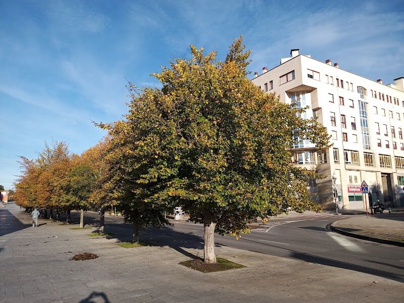 Imagen representativa de la localización