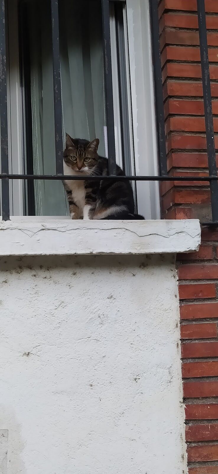 Imagen representativa de la localización