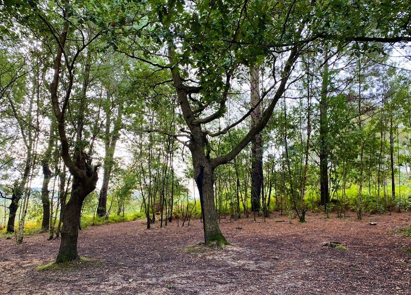 Imagen representativa de la localización