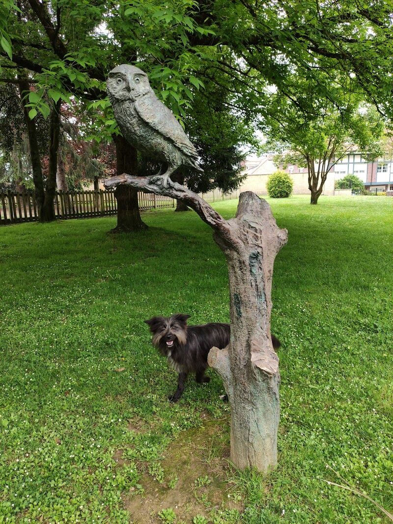 Imagen representativa de la localización