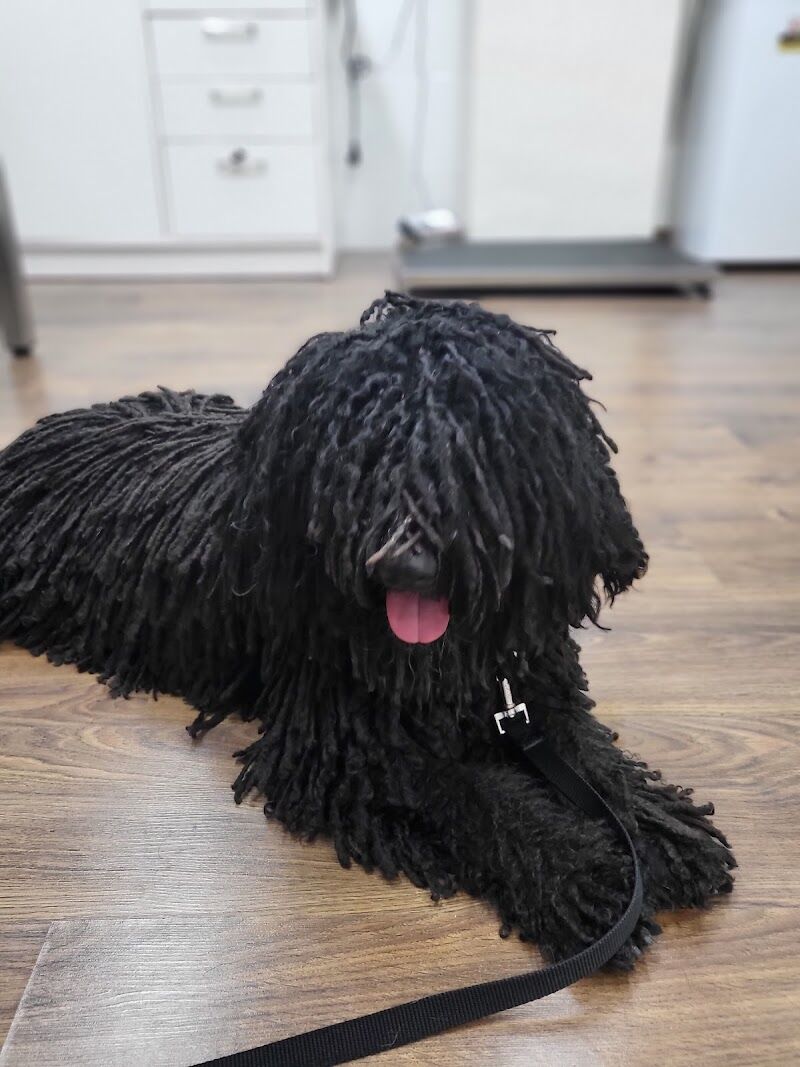 Imagen de negocio en Veterinaria en Abando