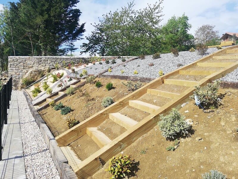 Imagen de Helianthus Jardinería