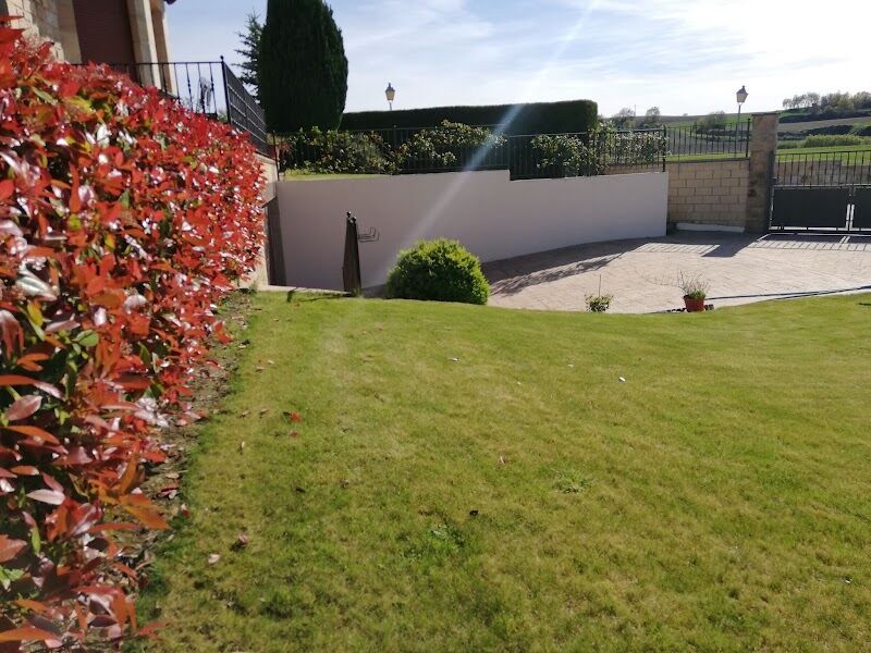 Imagen de Helianthus Jardinería