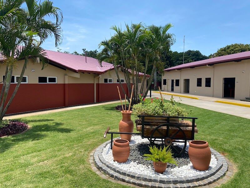 Imagen de Helianthus Jardinería