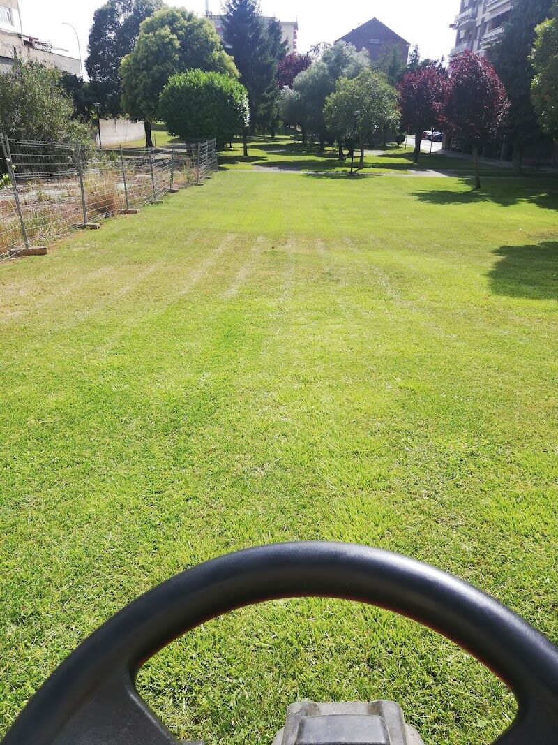 Imagen de Helianthus Jardinería